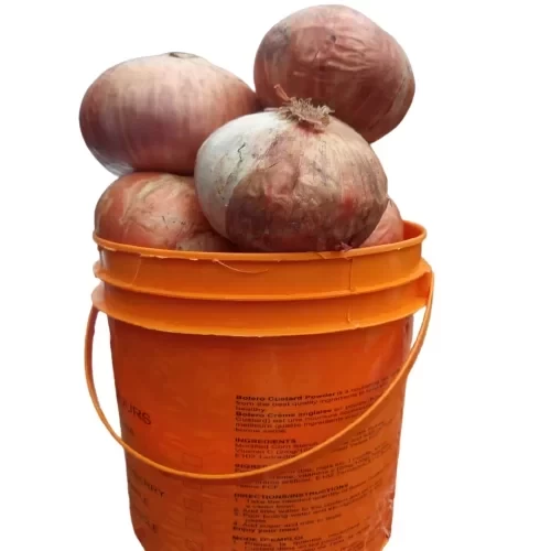 Premium New Light Red Onions – Fresh Farm Bulb Onions for Cooking | Bulk & Retail Delivery in Lagos, Abuja, Port-Harcourt & Across Nigeria