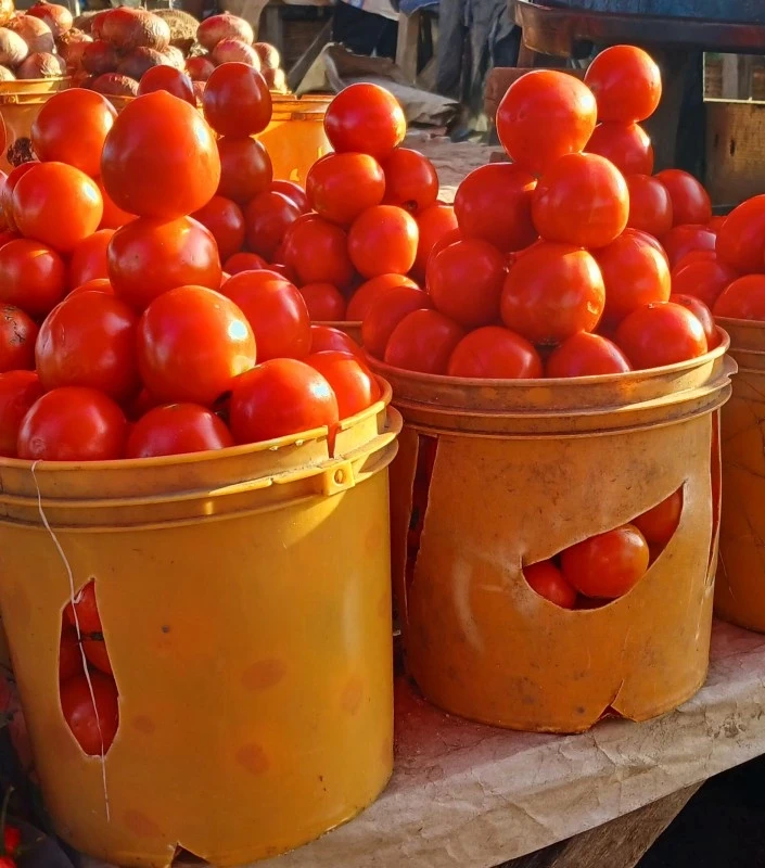 Fresh Tomatoes – Farm Fresh Red Tomatoes | Buy in Nigeria (Lagos, Abuja, Port Harcourt) | Retail & Bulk
