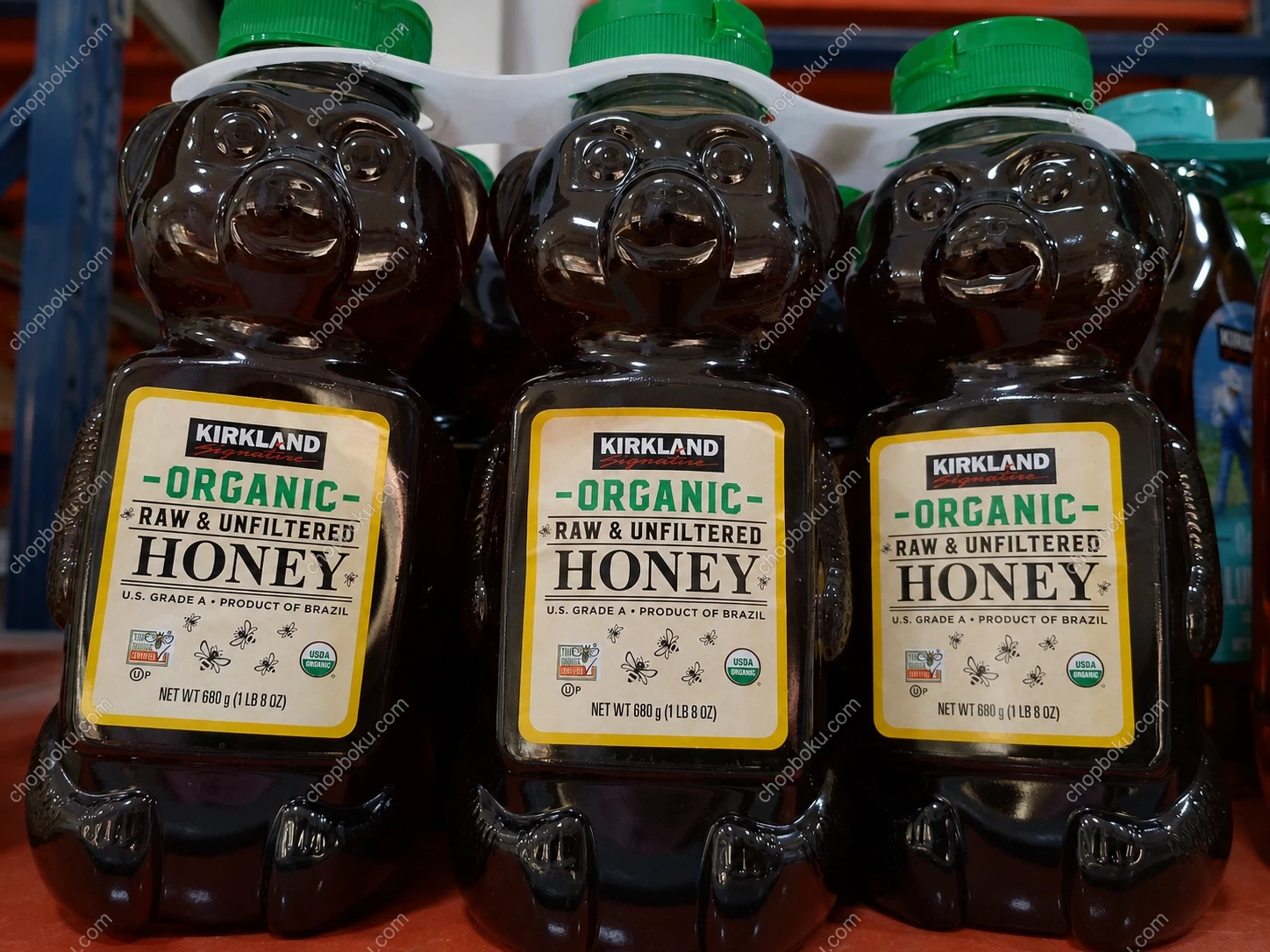 Kirkland Signature Organic Raw Honey 680g