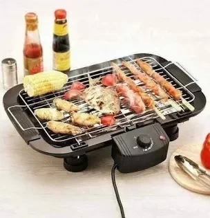 Electric Barbecue Grill