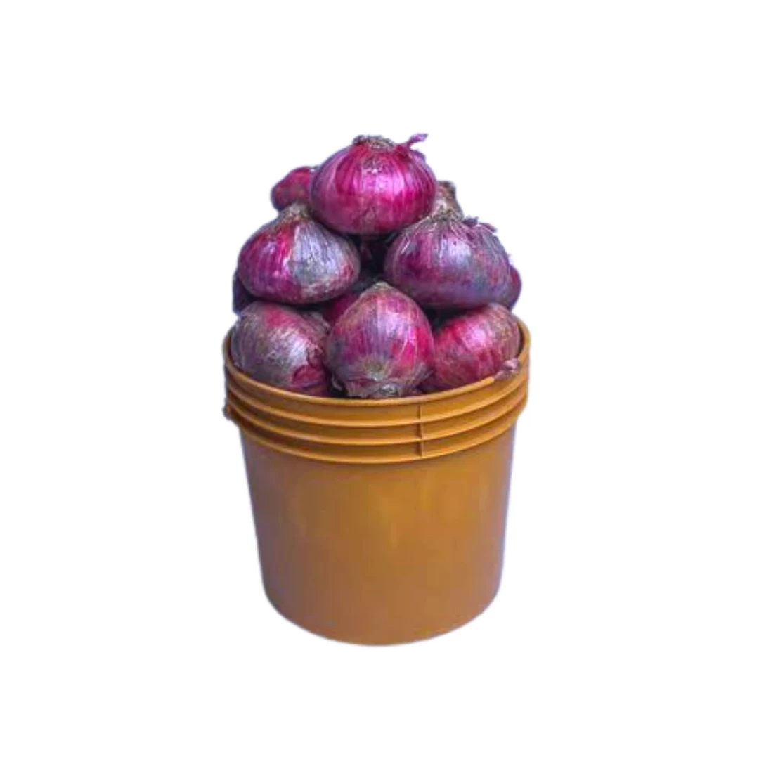 Fresh Red Onions (Premium Quality) – Farm Fresh Bulbs for Cooking, Bulk & Retail Supply Nigeria