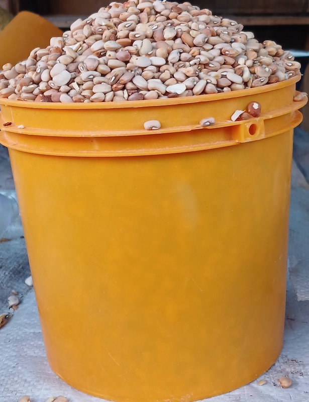 Sweet Honey Beans (Oloyin Beans) Delivery in Lagos | Buy Honey Beans Online – ChopBoku