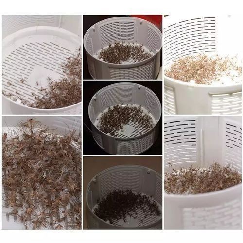 Electric Fly Bug Zapper Mosquito Insect Killer