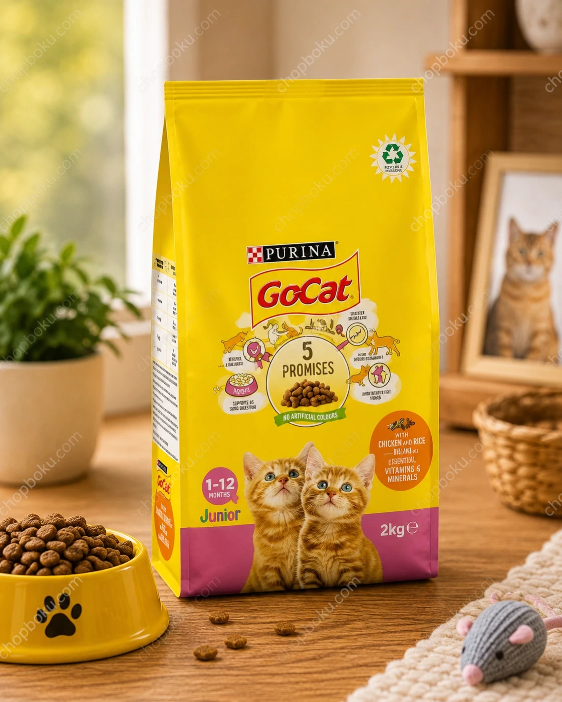 Purina Go-Cat Complete Dry Cat Food 2kg